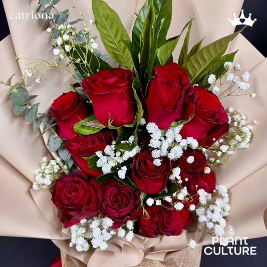 Catriona One Dozen Fresh Imported Red Roses Bouquet