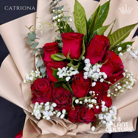 Catriona One Dozen Fresh Imported Red Roses Bouquet