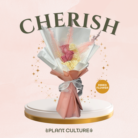 Mother's Day Dried Preserved Flower | Cherish