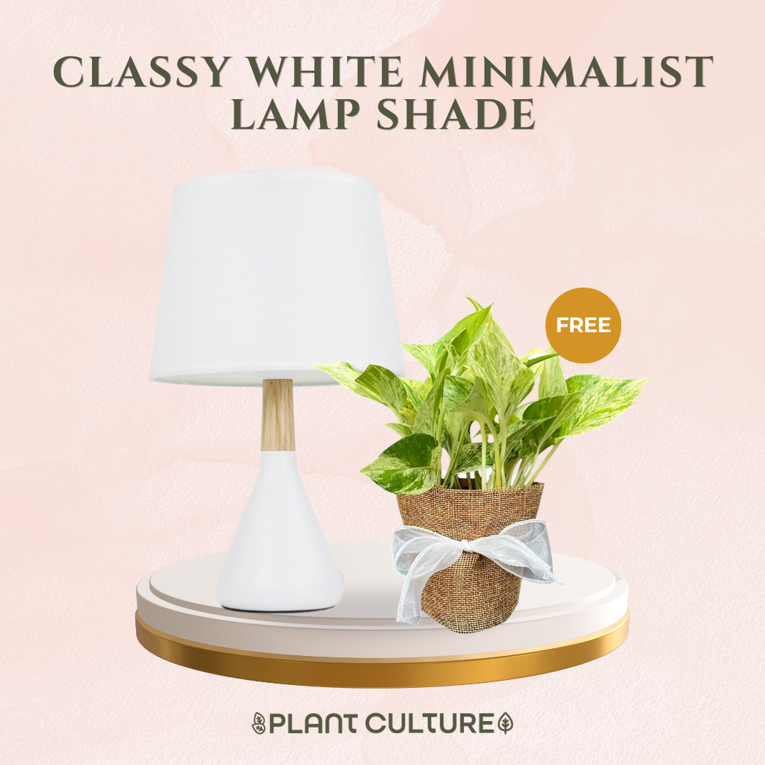 Gift Bundle | Marble Queen + Lamps
