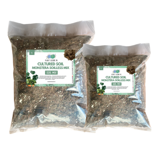Plant Culture Cultured Monstera Soilless Potting Soil Mix | Ready to Use Soil Mix