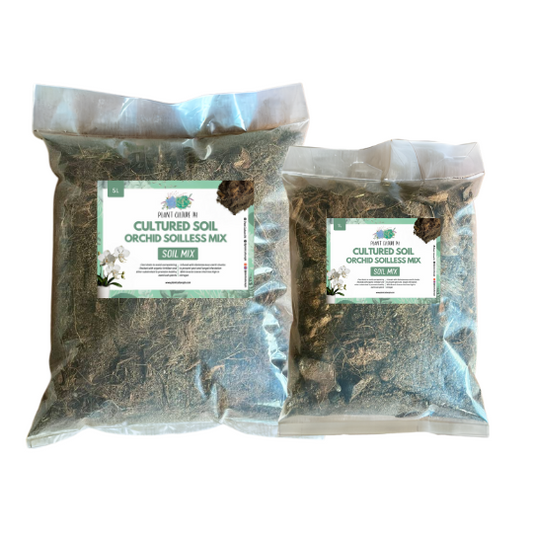Cultured Orchid Potting Soil Mix| Ready to Use Soil Mix