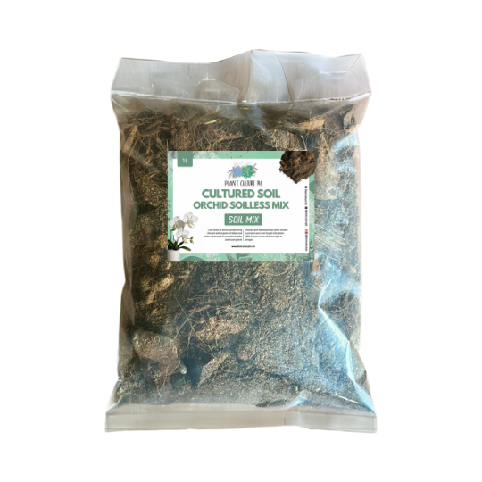 Cultured Orchid Potting Soil Mix| Ready to Use Soil Mix