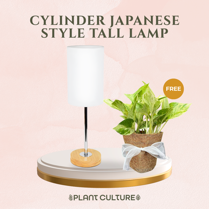 Gift Bundle | Marble Queen + Lamps