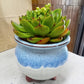 Decorative Tri-Footed Pots