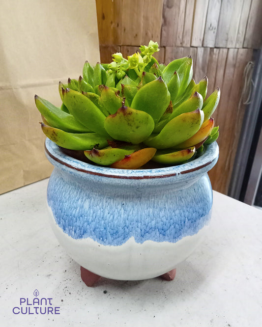 Decorative Tri-Footed Pots