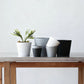 Plant Culture Urban Planter – Modern Taper w/ Catch Plate for plants