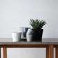 Plant Culture Urban Planter – Modern Taper w/ Catch Plate for plants
