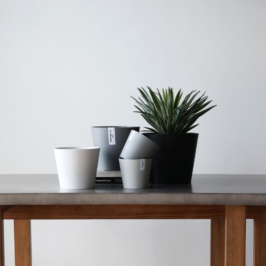 Plant Culture Urban Planter – Modern Taper w/ Catch Plate for plants