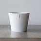 Plant Culture Urban Planter – Modern Taper w/ Catch Plate for plants