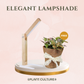 Gift Bundle | Fittonia + Lamps
