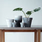 Plant Culture Urban Planter – F1 Tall Curve w/ Catch Plate for plants