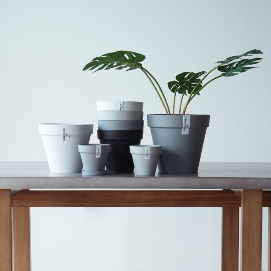 Plant Culture Urban Planter – F1 Tall Curve w/ Catch Plate for plants