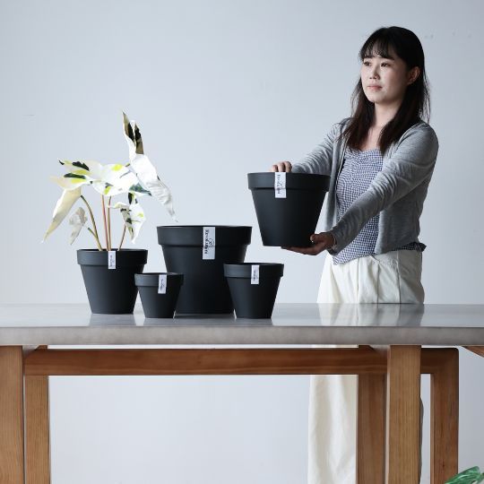 Plant Culture Urban Planter – F1 Tall Curve w/ Catch Plate for plants