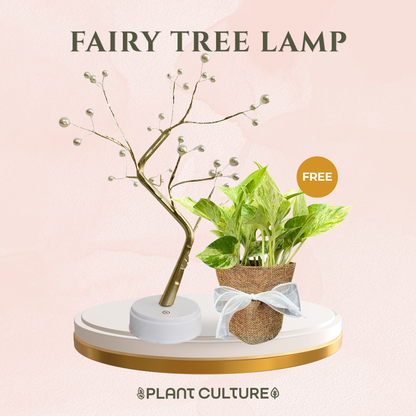 Gift Bundle | Marble Queen + Lamps