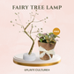 Gift Bundle | Fittonia + Lamps