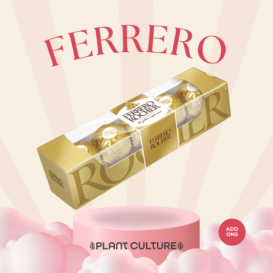 Ferrero Rocher 5pcs 62.5g