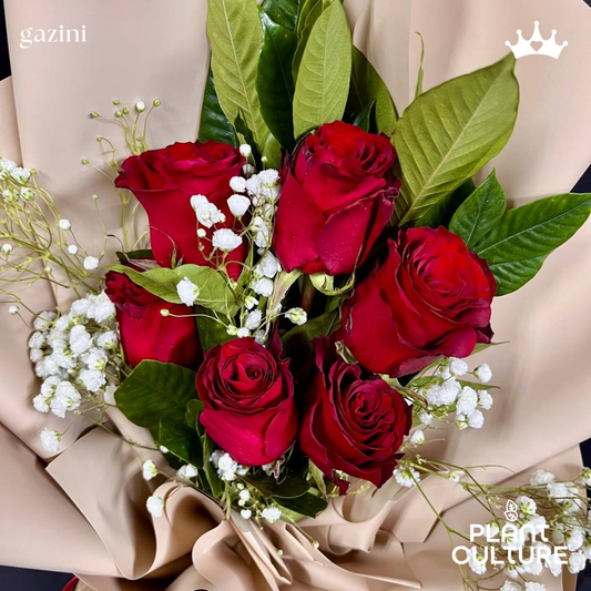 Gazini Fresh Red Rose Imported Flower Bouquet 6pcs