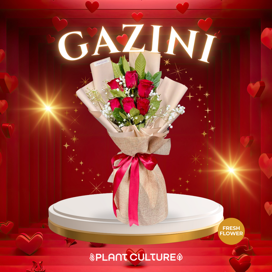 Gazini Fresh Red Rose Imported Flower Bouquet 6pcs