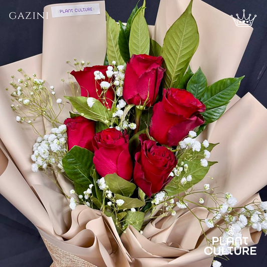 Gazini Fresh Red Rose Imported Flower Bouquet 6pcs