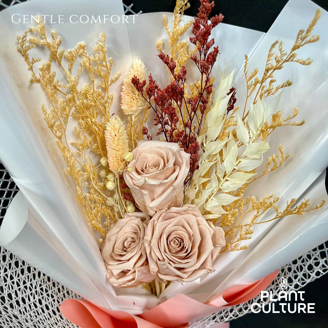 Dried Preserved Flower | Gentle Comfort