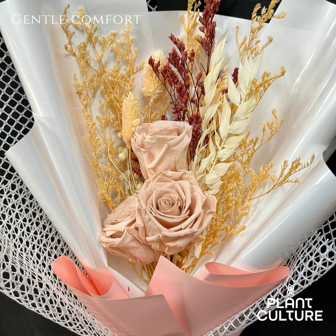 Dried Preserved Flower | Gentle Comfort