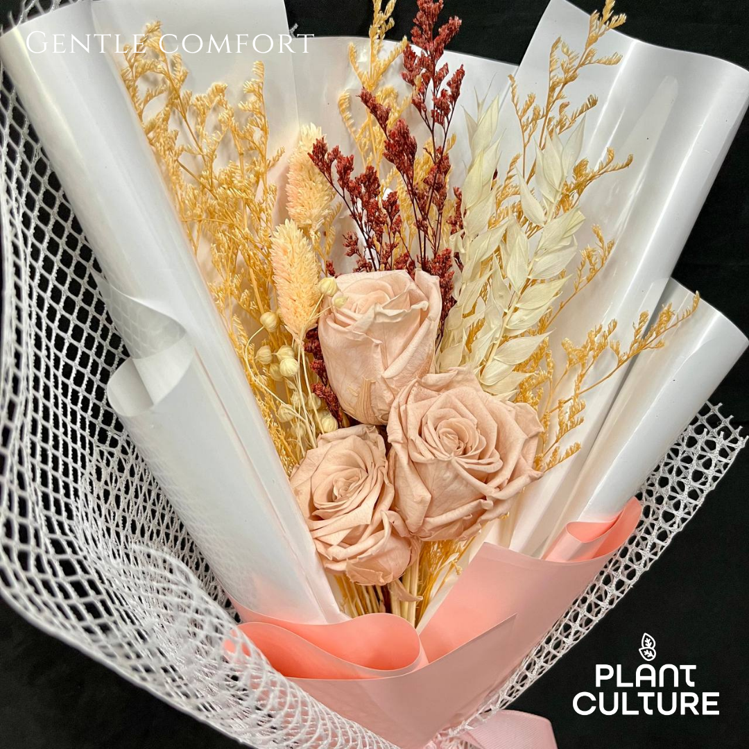 Dried Preserved Flower | Gentle Comfort