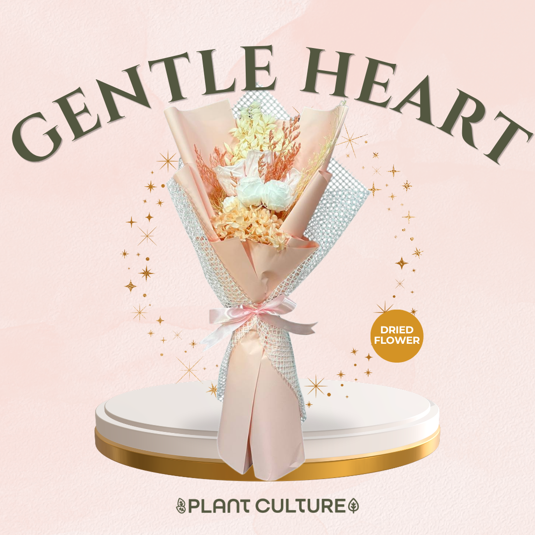 Dried Preserved Flower | Gentle Heart