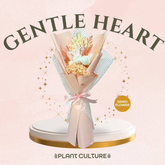 Mother's Day Dried Preserved Flower | Gentle Heart