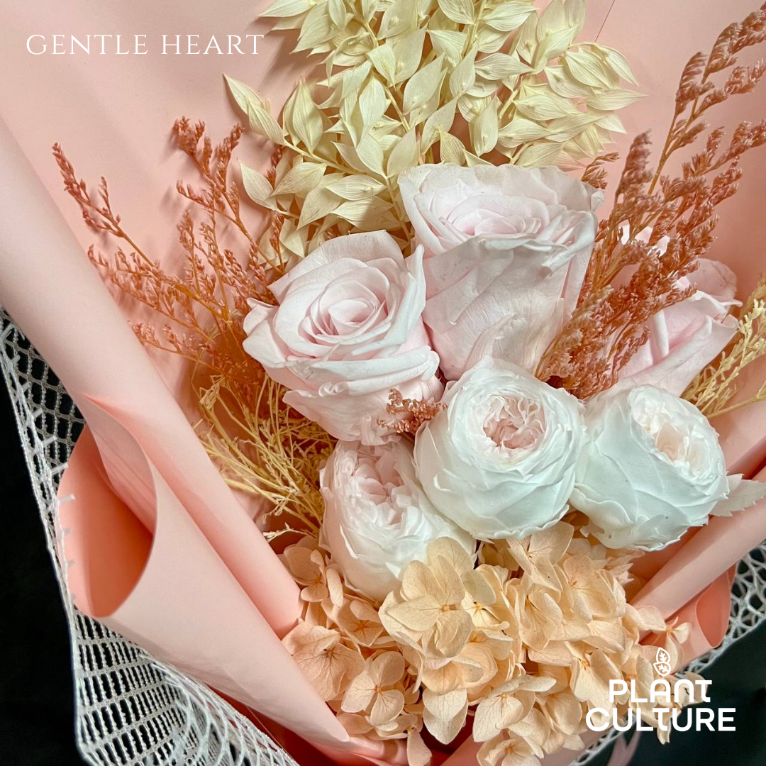 Dried Preserved Flower | Gentle Heart