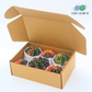 Gymnocalycium Box Assorted by Plant Culture