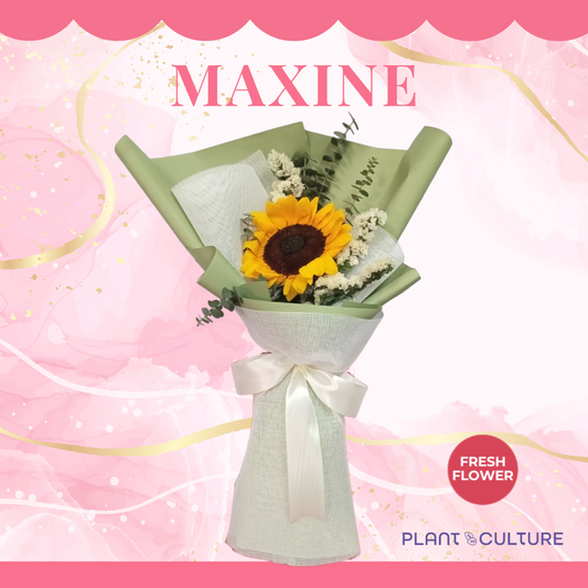 Maxine Fresh Sunflower Bouquet Single Stem