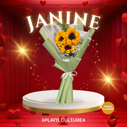 Janine Fresh Sunflower Bouquet Trio