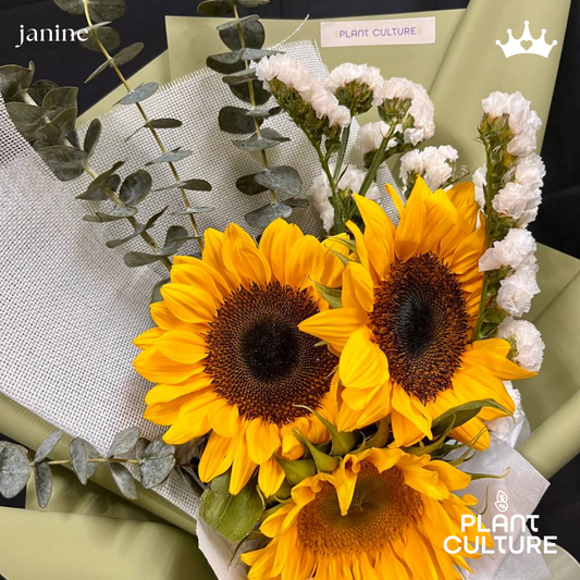 Janine Fresh Sunflower Bouquet Trio