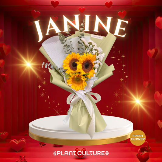 Janine Fresh Sunflower Bouquet Trio