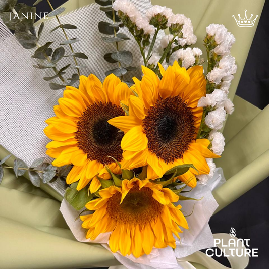 Janine Fresh Sunflower Bouquet Trio