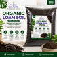 Plant Culture Organic Loam Soil 8kg – Ready to Use Garden Soil Mix for Indoor & Outdoor Plants