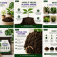 Plant Culture Organic Loam Soil 8kg – Ready to Use Garden Soil Mix for Indoor & Outdoor Plants