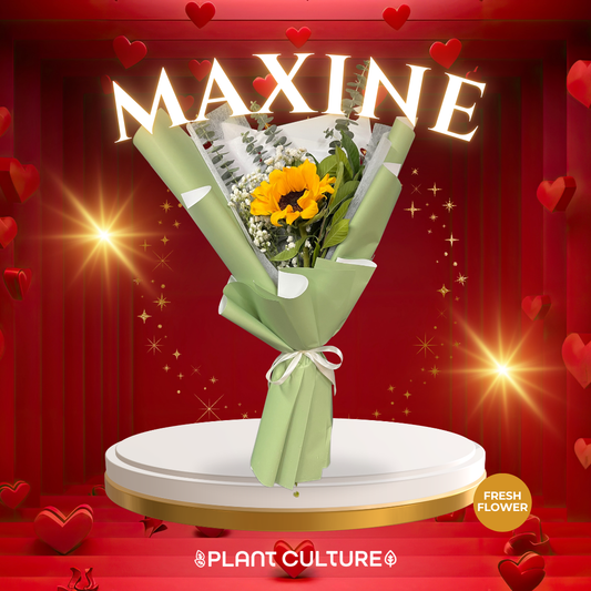 Maxine Fresh Sunflower Bouquet Single Stem