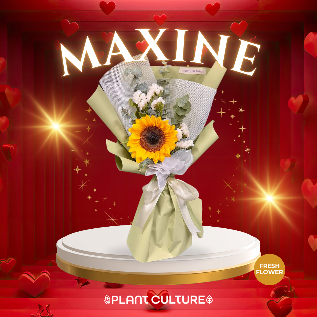Maxine Fresh Sunflower Bouquet Single Stem