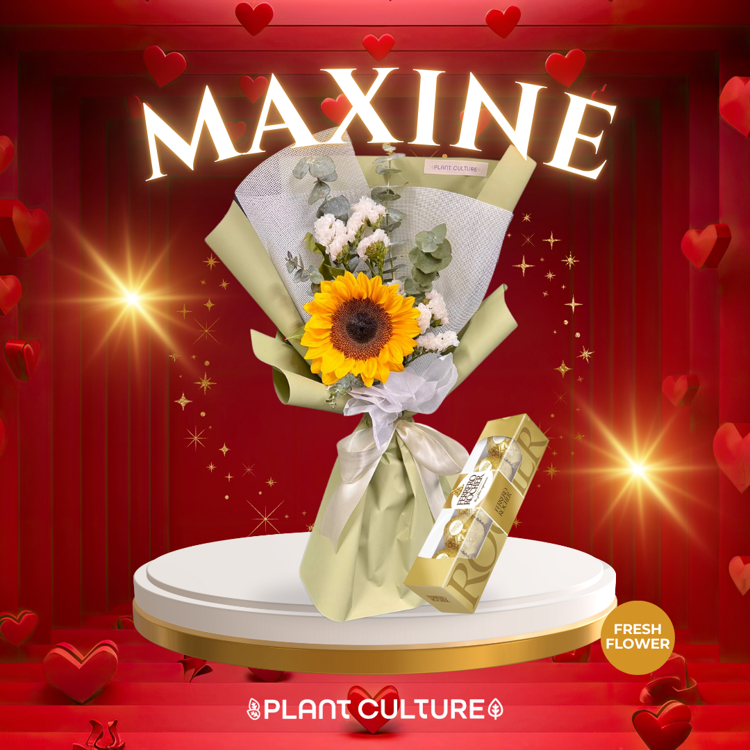 Maxine Fresh Sunflower Bouquet Single Stem
