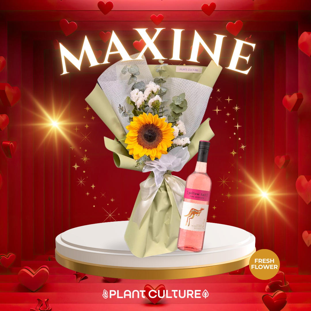 Maxine Fresh Sunflower Bouquet Single Stem