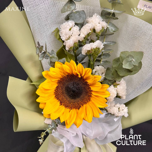 Maxine Fresh Sunflower Bouquet Single Stem