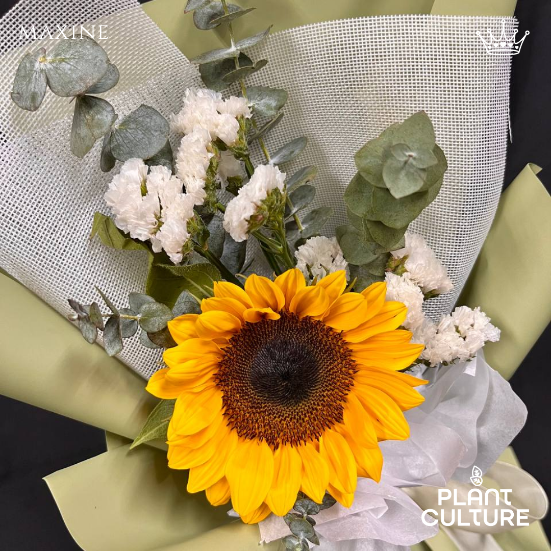 Maxine Fresh Sunflower Bouquet Single Stem
