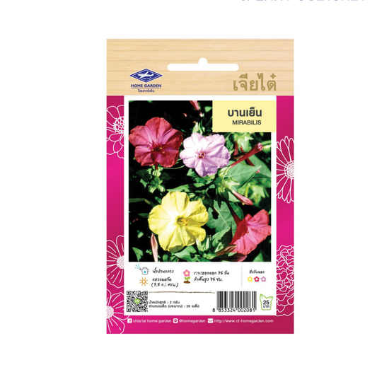 Home Garden Seeds Mirabilis (Approx 25 Seeds) 2gms