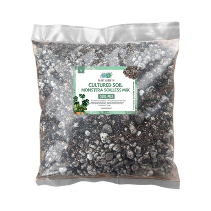 Cultured Soil Monstera Soilless Mix 1L & 5L | Ready-to-Use Soil Mix