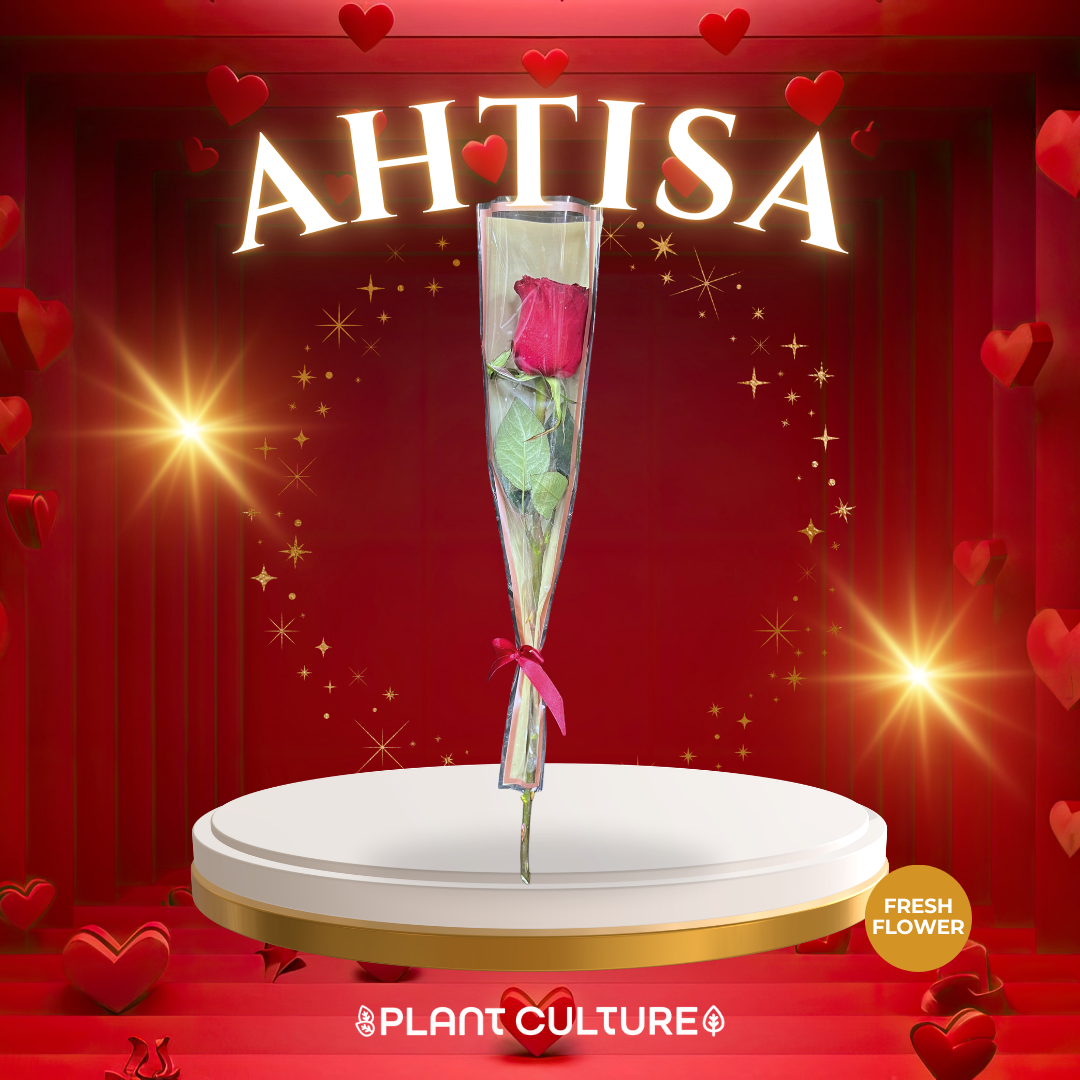 Ahtisa Fresh Red Rose 1pc Imported Flower Bouquet