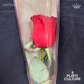 Ahtisa Fresh Red Rose 1pc Imported Flower Bouquet