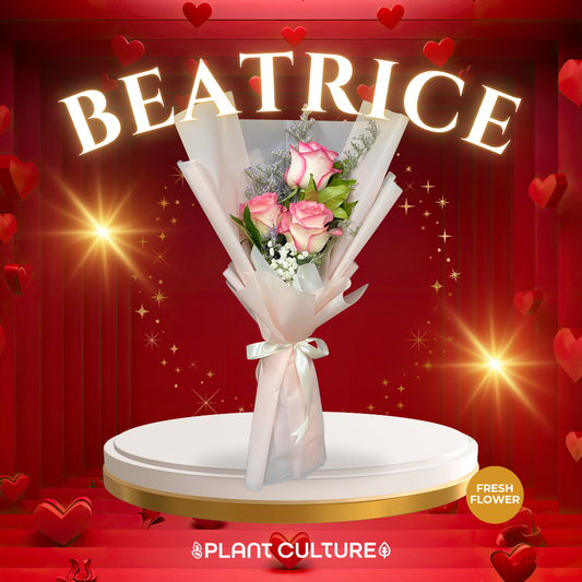 Beatrice Fresh Imported Pink Rose Bouquet Trio