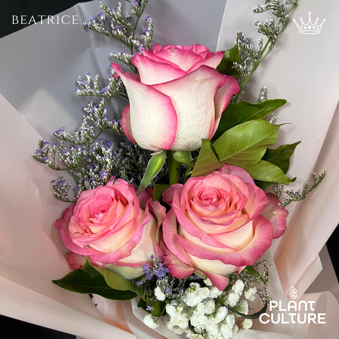 Beatrice Fresh Imported Pink Rose Bouquet Trio